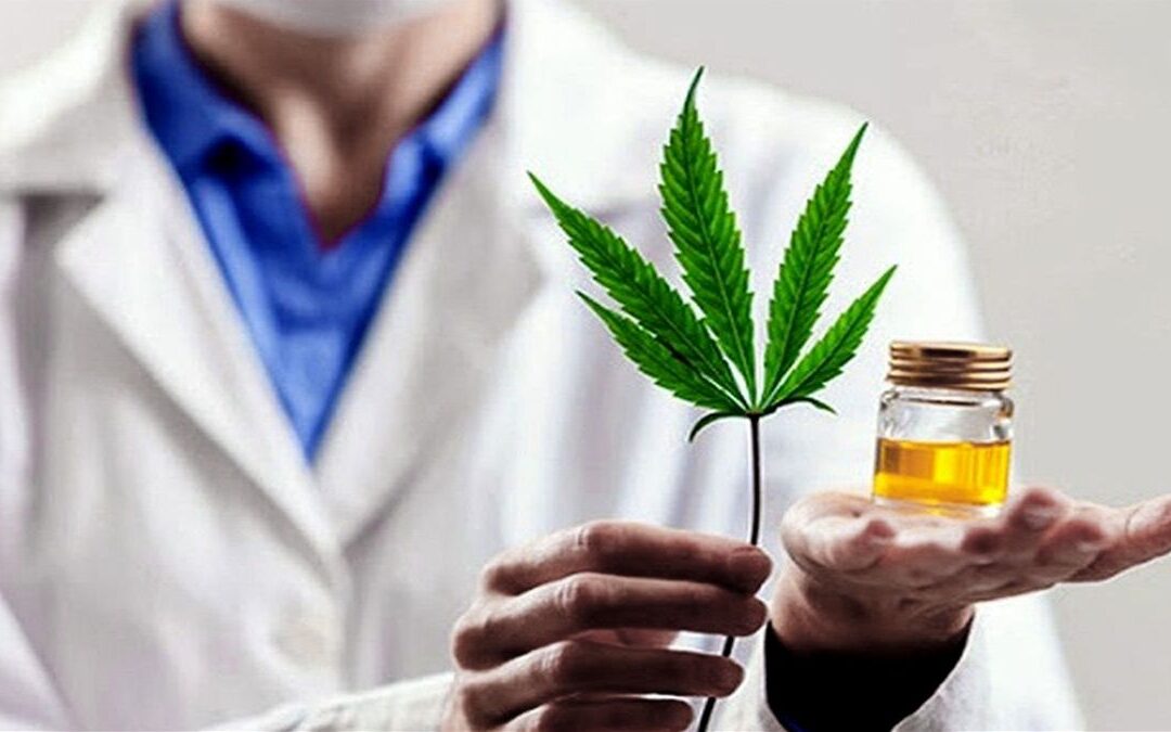 Decisiones Judiciales en materia de Cannabis Medicinal Vía ZOOM $90.00